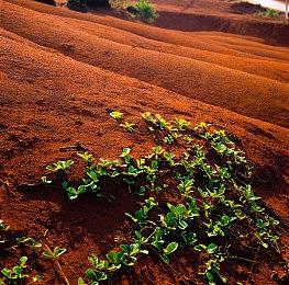 Switch日服举行黄金周游戏促销活动 4月28日开启
